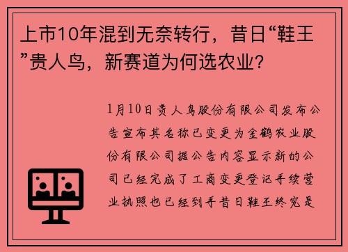 上市10年混到无奈转行，昔日“鞋王”贵人鸟，新赛道为何选农业？
