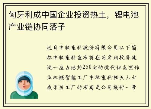 匈牙利成中国企业投资热土，锂电池产业链协同落子