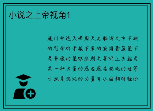 小说之上帝视角1