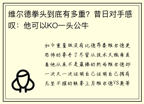 维尔德拳头到底有多重？昔日对手感叹：他可以KO一头公牛